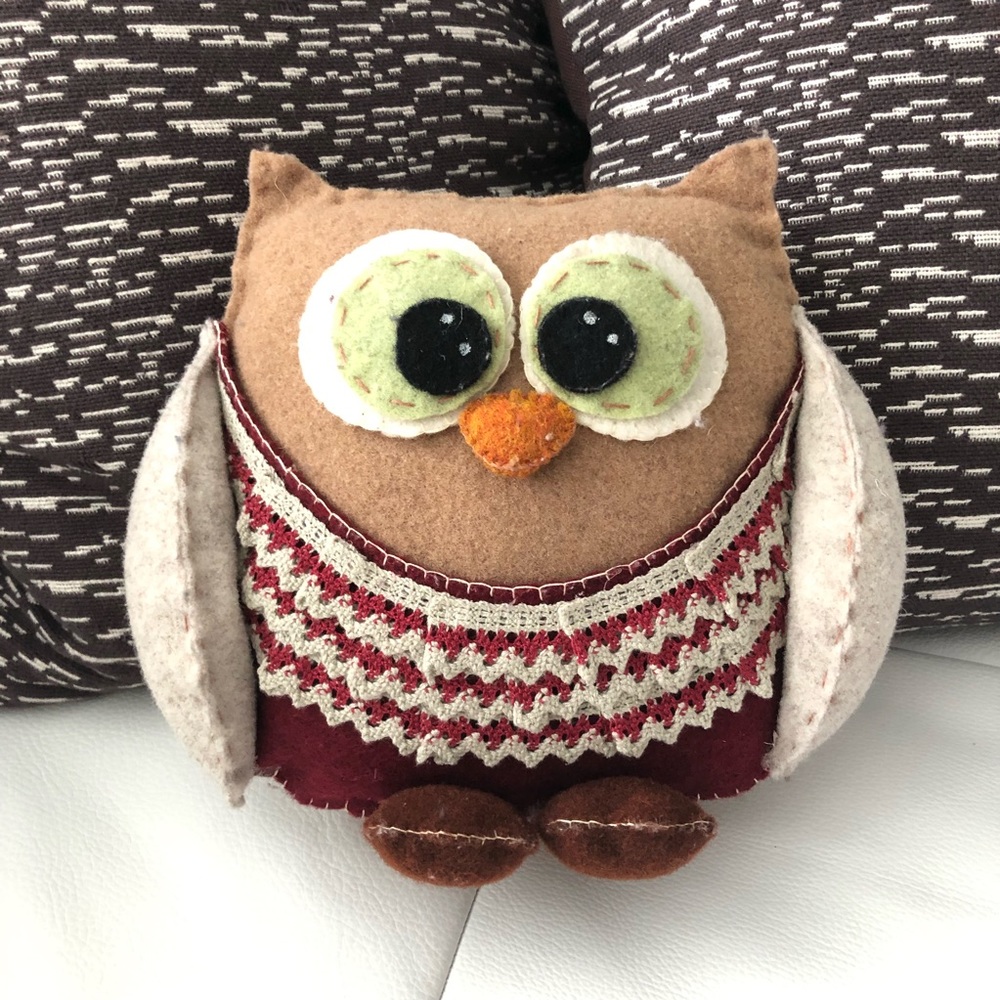 Whimsy Owl Embroidered Accent Pillow